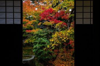 清水園