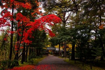 清水園