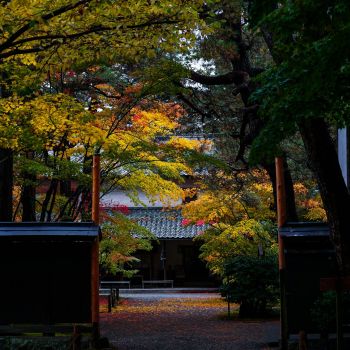 清水園