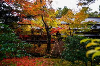 清水園