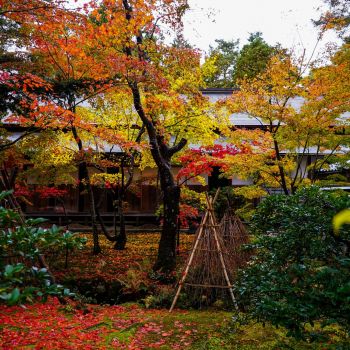清水園