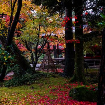 清水園