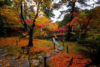 清水園