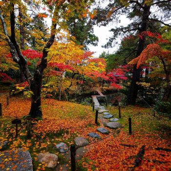 清水園