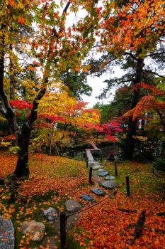 清水園