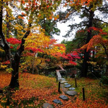 清水園