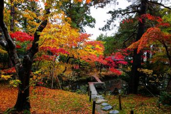 清水園