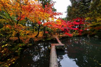 清水園