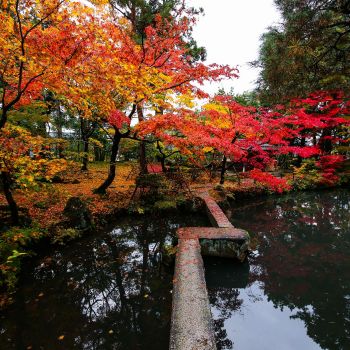 清水園