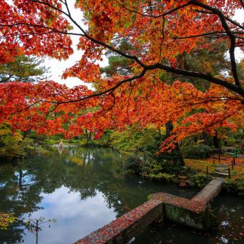 清水園