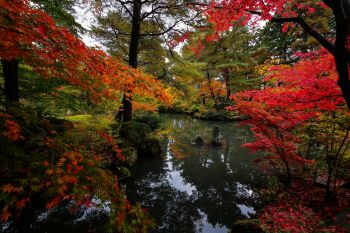 清水園