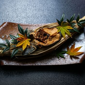 能登新