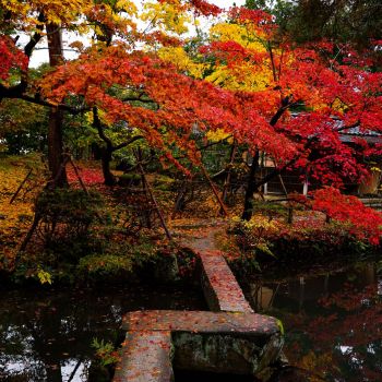 清水園