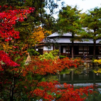 清水園