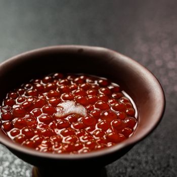 能登新