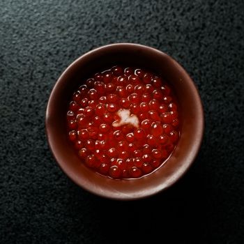 能登新