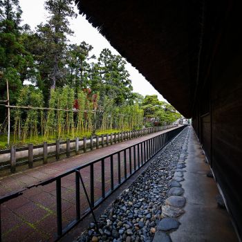 清水園