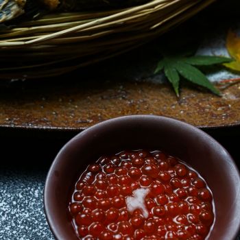 能登新