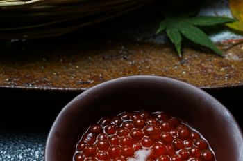 能登新