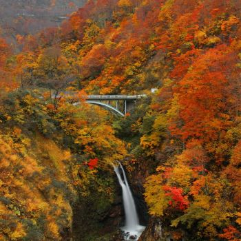 不動滝の紅葉