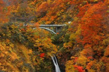 不動滝の紅葉