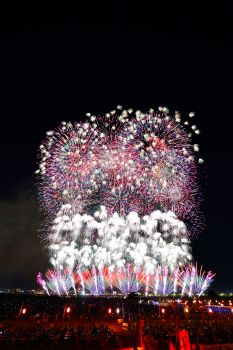 長岡まつり大花火大会 - この空の花