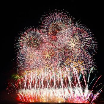 長岡まつり大花火大会 - この空の花