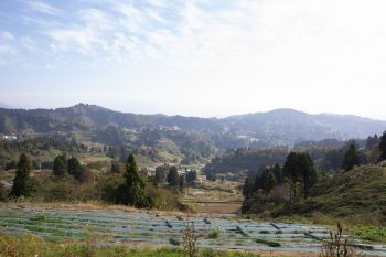 山古志の薬師の陵（おか）