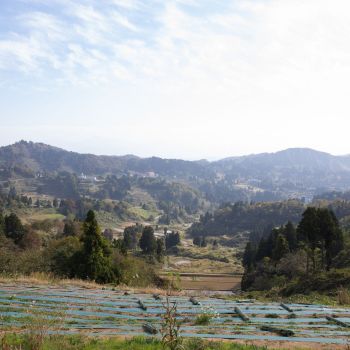 山古志の薬師の陵（おか）