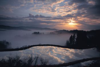 里山の朝