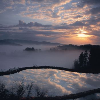 里山の朝