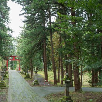 蒼紫神社