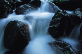 杜々の森名水公園