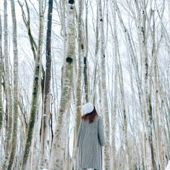 冬の美人林