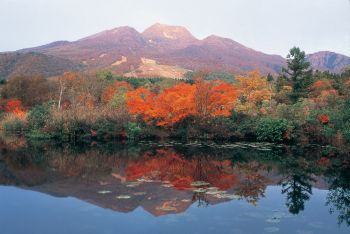 紅葉のいもり池