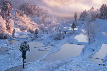 初雪の棚田