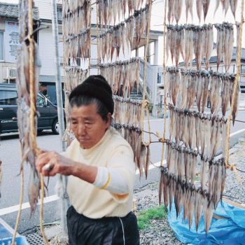 ゲン魚ぼし