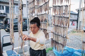 ゲン魚ぼし