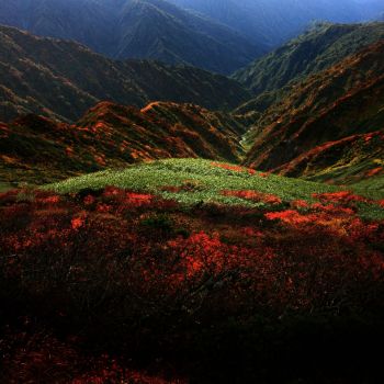 晩秋の斜面
