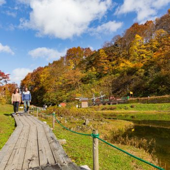 湯沢高原