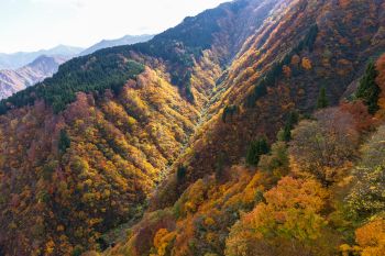 湯沢高原