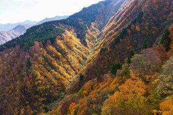 湯沢高原