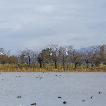 瓢湖