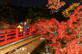 弥彦公園