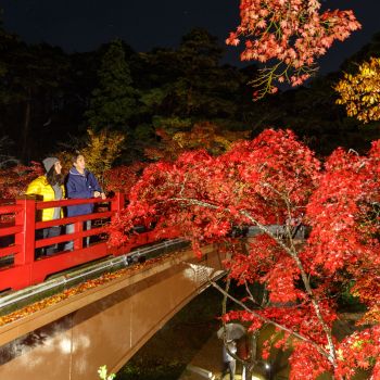 弥彦公園