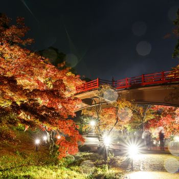 弥彦公園