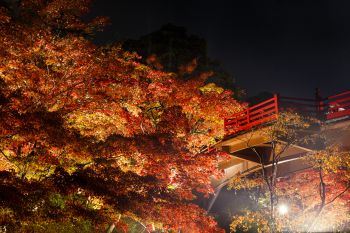 弥彦公園