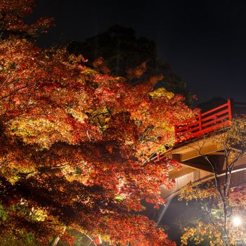 弥彦公園