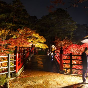弥彦公園