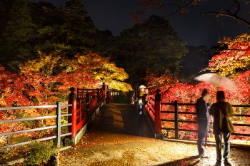 弥彦公園
